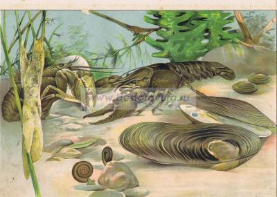 Фотография 0019.jpg