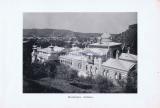 Фотография 0004.jpg