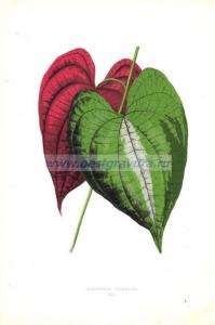 Фотография 0018.jpg