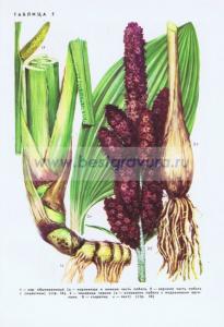 Фотография 0205.jpg