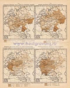 Фотография 0011.jpg