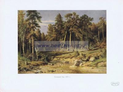 Фотография 0202.jpg