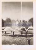 Фотография 0264.jpg