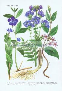 Фотография 0264.jpg