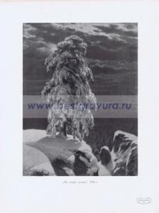 Фотография 0221.jpg