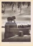 Фотография 0222.jpg