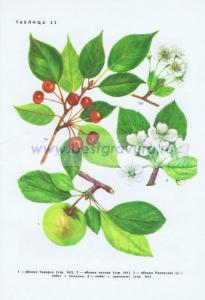 Фотография 0235.jpg