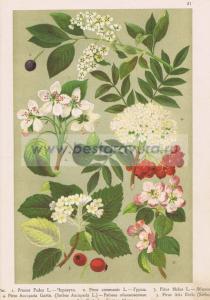 Фотография 0021.jpg