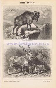 Фотография 0284.jpg