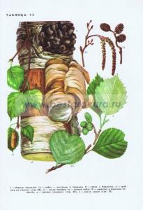 Фотография 0215.jpg