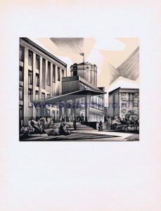 Фотография 0006.jpg