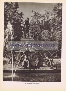 Фотография 0302.jpg