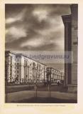 Фотография 0244.jpg