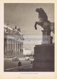 Фотография 0047.jpg