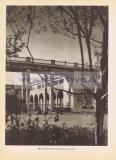 Фотография 0216.jpg