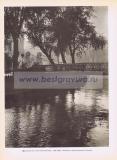 Фотография 0184.jpg