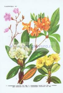 Фотография 0261.jpg