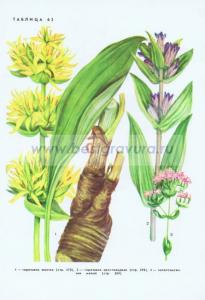 Фотография 0263.jpg