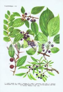 Фотография 0251.jpg