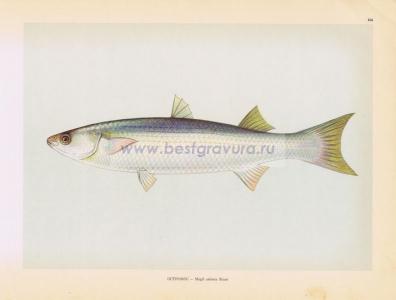 Фотография 0166.jpg