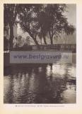Фотография 0184.jpg
