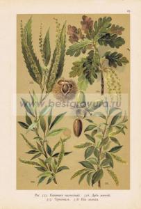 Фотография 0062.jpg