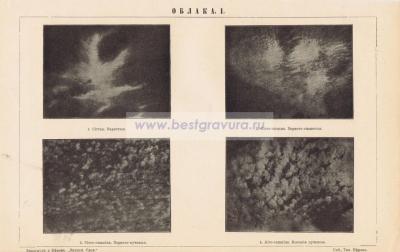 Фотография 0269.jpg