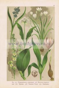 Фотография 0069.jpg