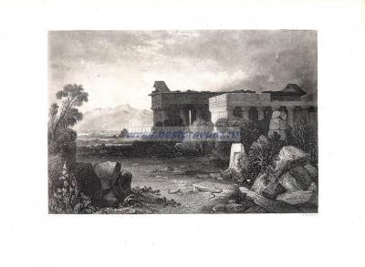 Фотография 0039.jpg