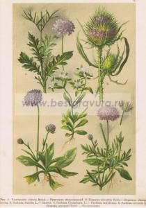 Фотография 0034.jpg