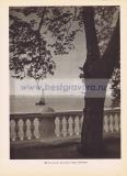 Фотография 0297.jpg