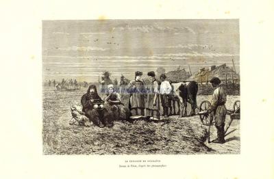 059-3 Украина,  сенокос.jpg
