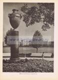 Фотография 0238.jpg