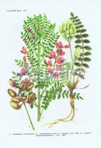 Фотография 0245.jpg