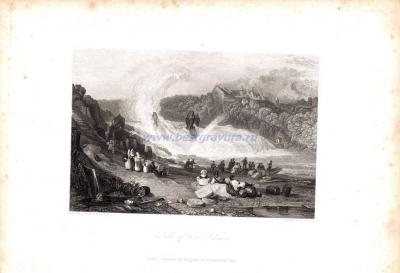 Фотография 0046.jpg