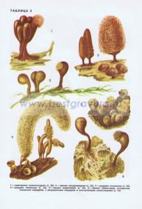 Фотография 0202.jpg