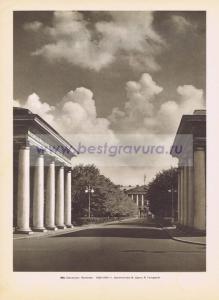 Фотография 0164.jpg