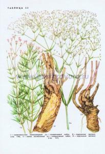 Фотография 0223.jpg