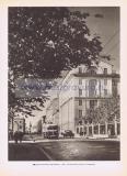 Фотография 0229.jpg