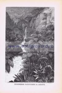 Фотография 0001.jpg