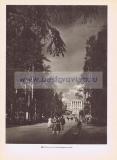Фотография 0326.jpg