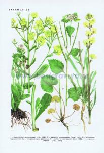 Фотография 0230.jpg