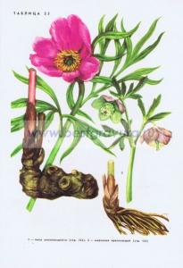 Фотография 0225.jpg