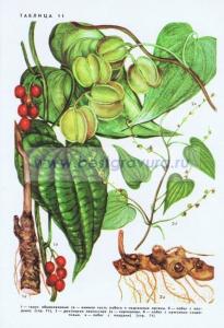 Фотография 0211.jpg