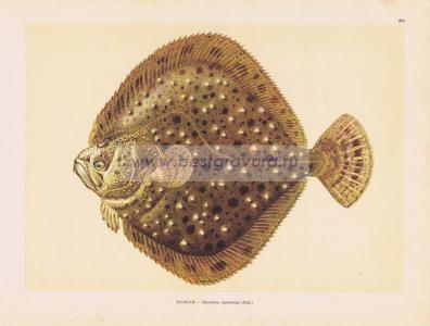 Фотография 0214.jpg