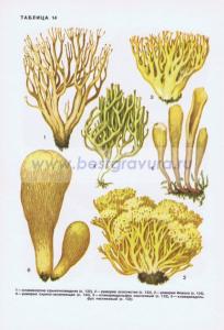 Фотография 0214.jpg