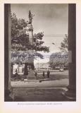 Фотография 0048.jpg