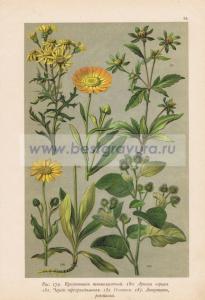 Фотография 0034.jpg