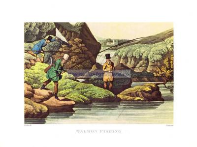 Фотография 0013.jpg