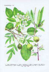 Фотография 0234.jpg